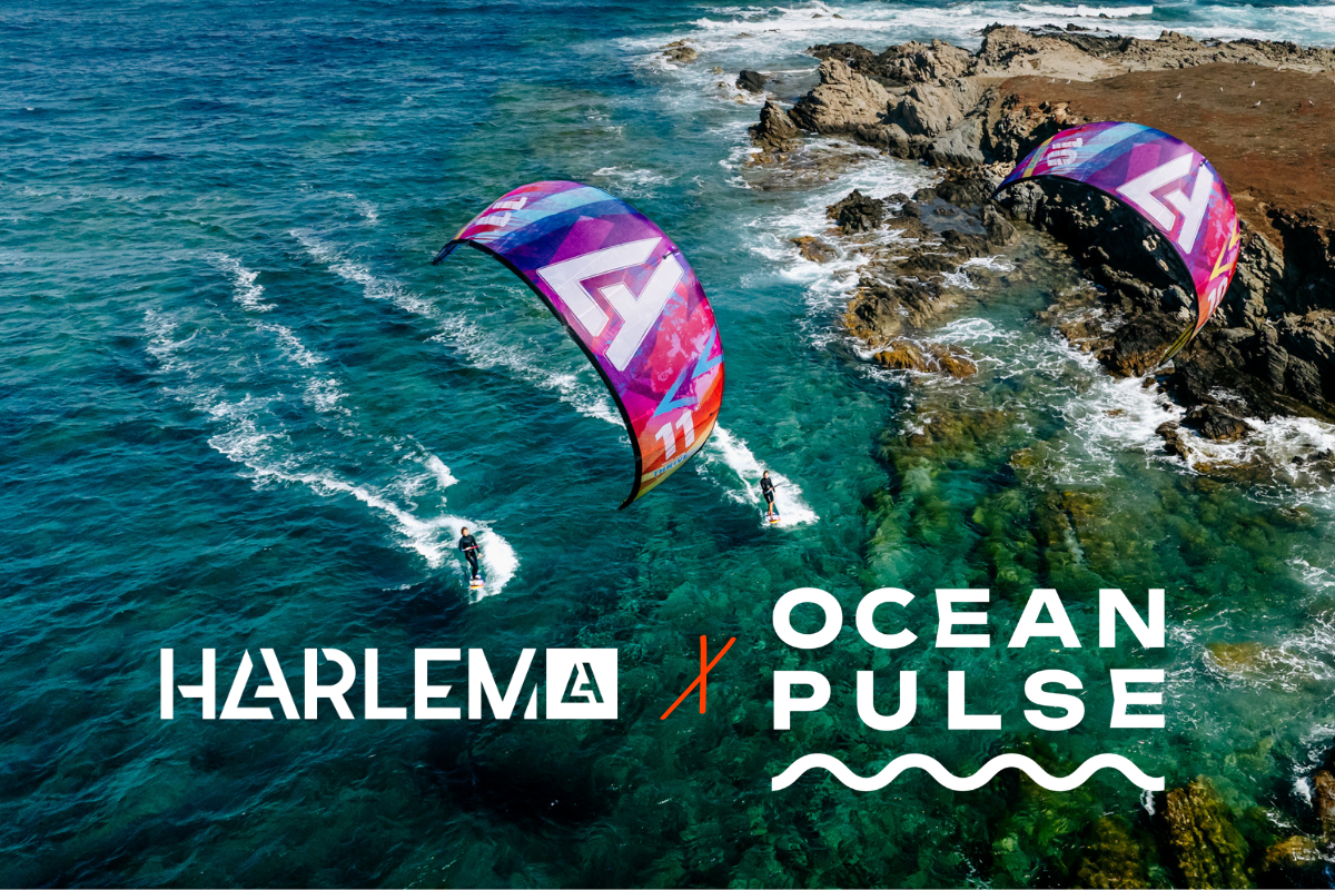 More Than Our Playground: Partnering With OceanPulse